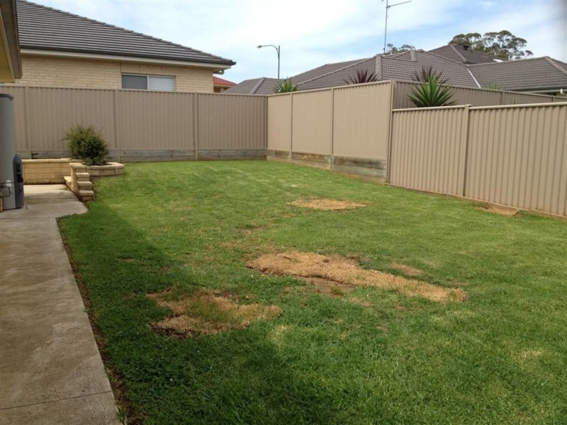 66 Harrison Avenue, Harrington Park NSW 2567