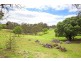 5 Sawadee Drive, Razorback NSW 2571
