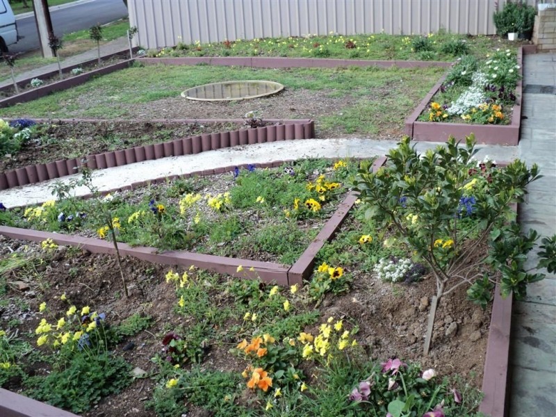 19 Abelia Ave, Para Vista SA 5093