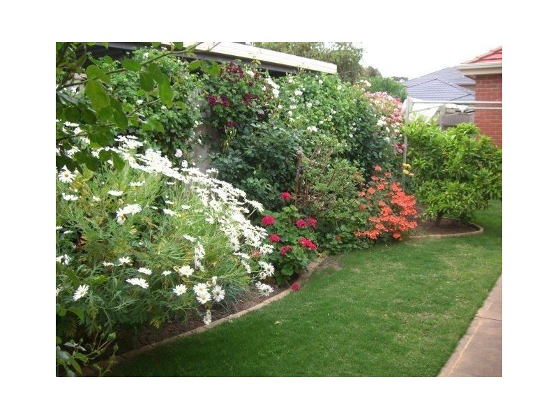 1 Patola Street, Magill SA 5072