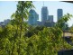 Kangaroo Point QLD 4169