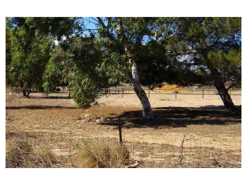 494 Beattie Road, Waggrakine WA 6530