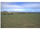 L319/585 David Road, Waggrakine WA 6530