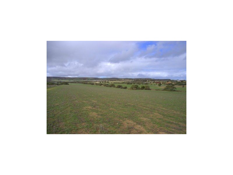 585 David Road, Waggrakine WA 6530