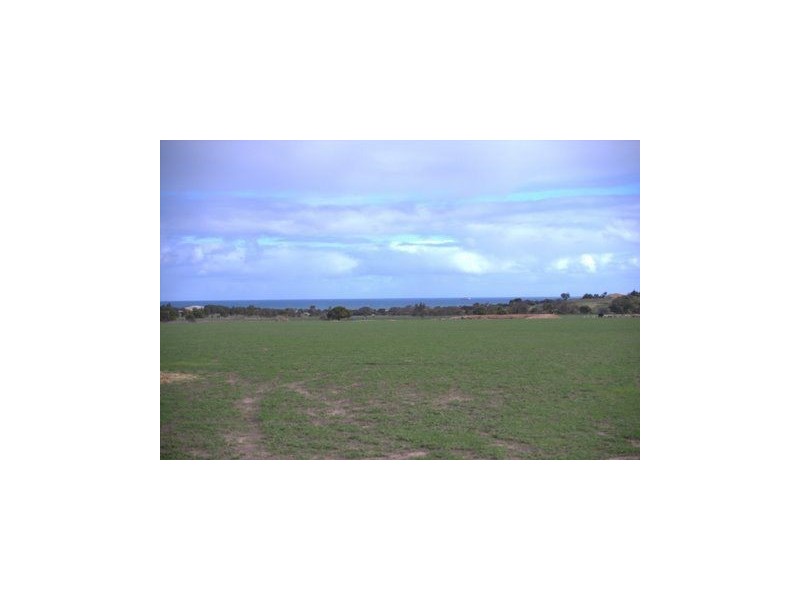 585 David Road, Waggrakine WA 6530