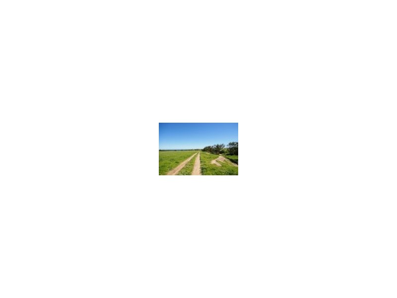 Lot 309 David Road, Waggrakine WA 6530