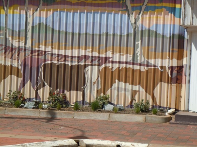 52 Midlands Road, Mingenew WA 6522