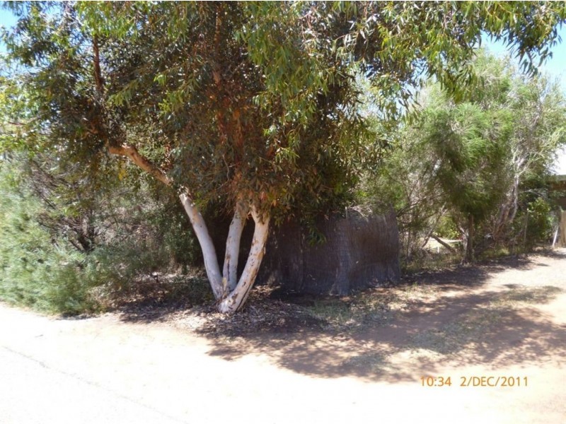 5 Logue Court, Walkaway WA 6528