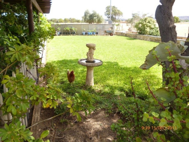 101 Hall Road, Waggrakine WA 6530