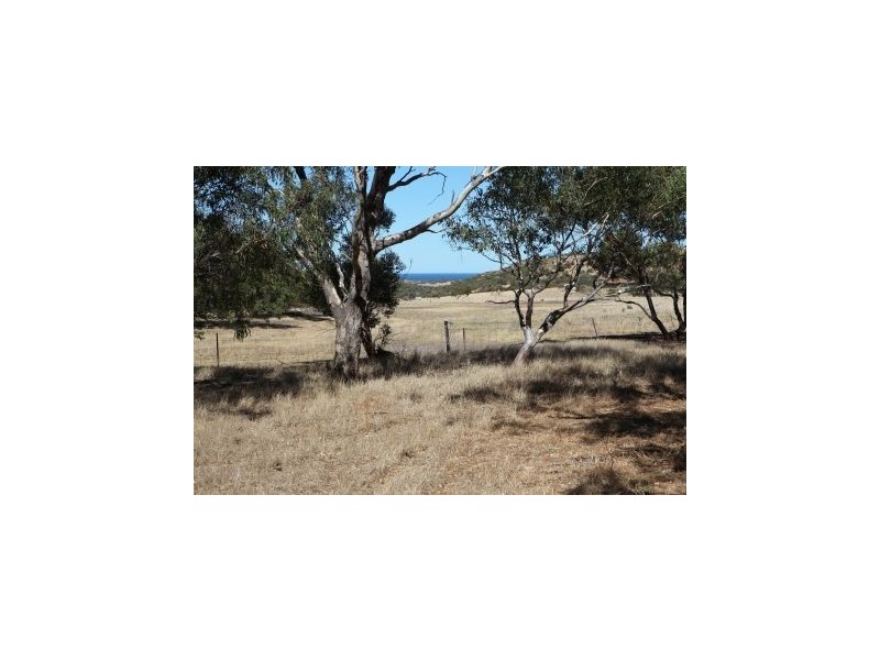 130 White Peak Road, White Peak WA 6532