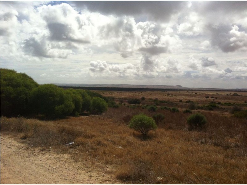 26 Colonen Street, Wandina WA 6530