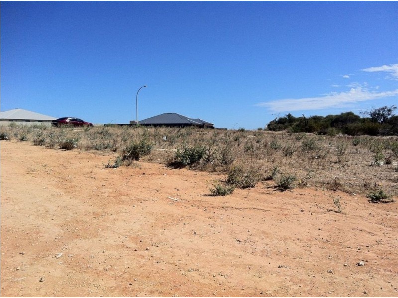 8 Essie Street, Wandina WA 6530