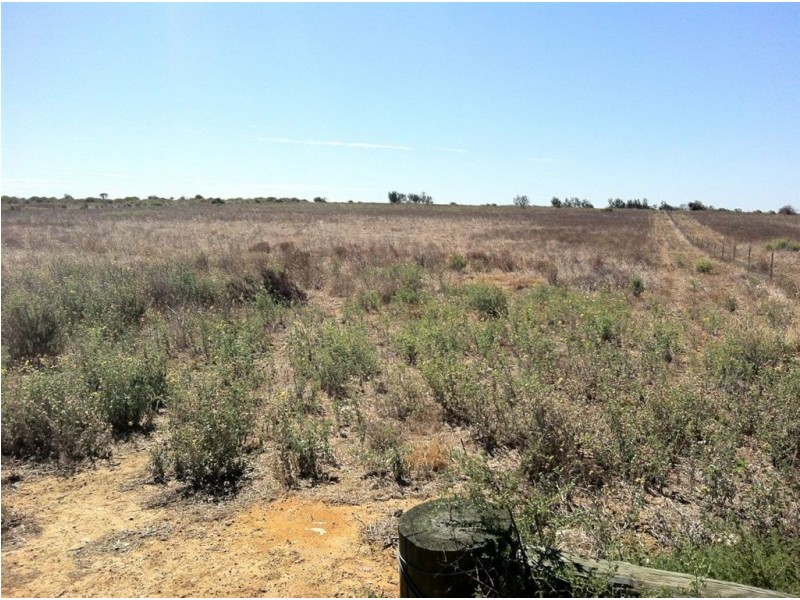 Lot 188 (8) Readhead Street, Rudds Gully WA 6532