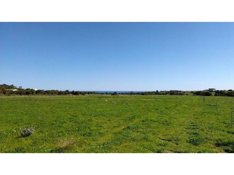 Lot 311 Pattern Place, Waggrakine WA 6530