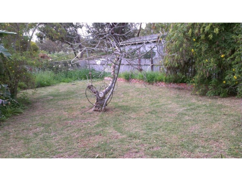 14 Elphick Avenue, Bluff Point WA 6530