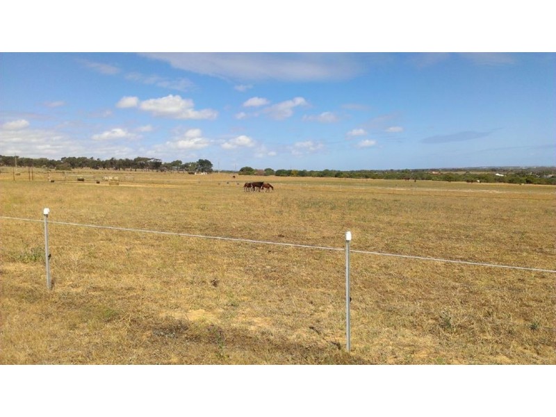 Lot 14 Wokarena Road, White Peak WA 6532