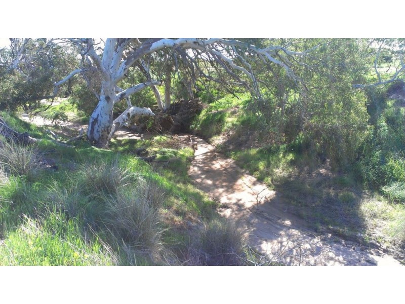 Lot 310 Pattern Place, White Peak WA 6532