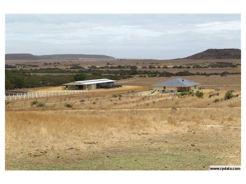 1702 Chapman Valley Road, Narra Tarra WA 6532