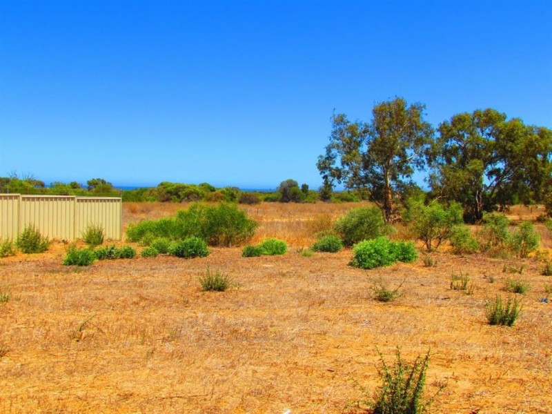 7 Pead Fairway, Waggrakine WA 6530