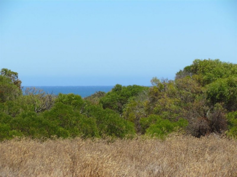 7 Pead Fairway, Waggrakine WA 6530