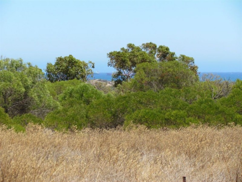 7 Pead Fairway, Waggrakine WA 6530