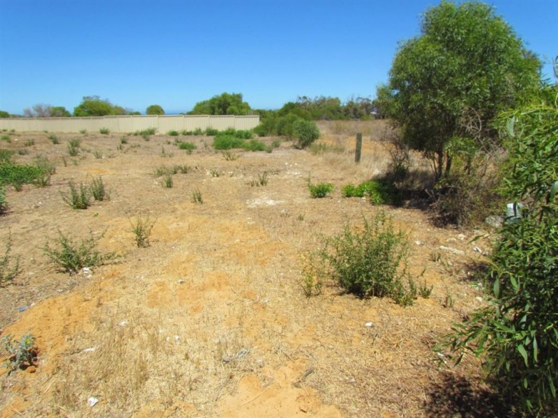 7 Pead Fairway, Waggrakine WA 6530