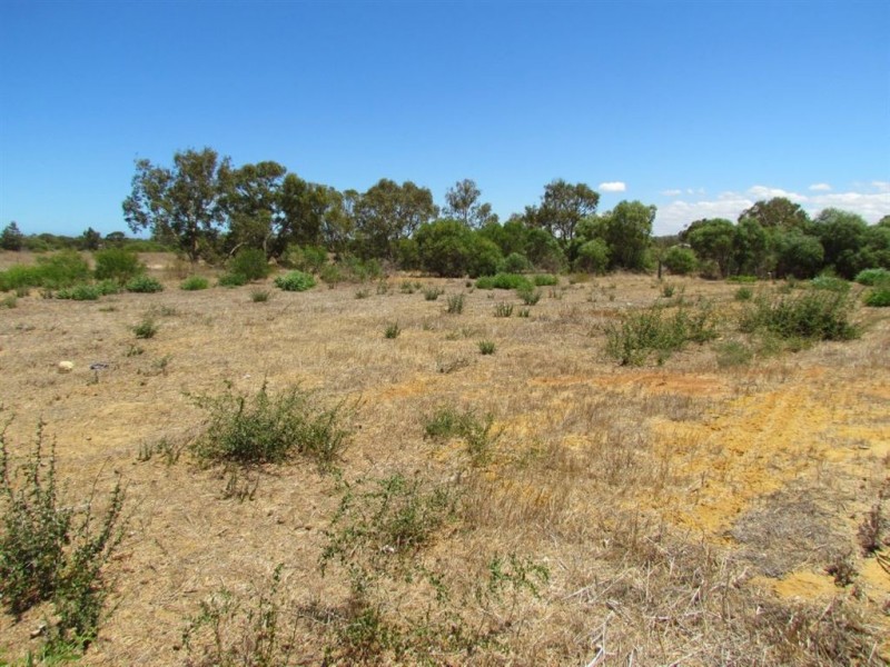 7 Pead Fairway, Waggrakine WA 6530