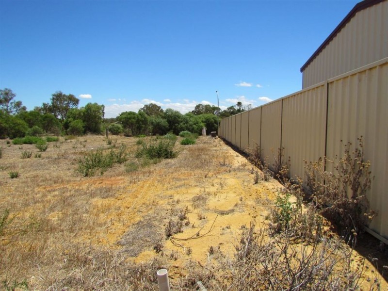 7 Pead Fairway, Waggrakine WA 6530