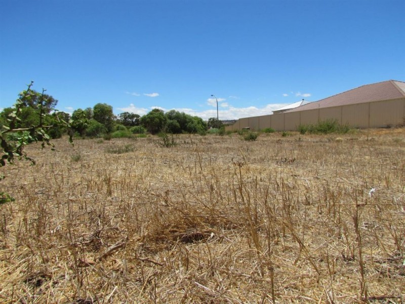 7 Pead Fairway, Waggrakine WA 6530