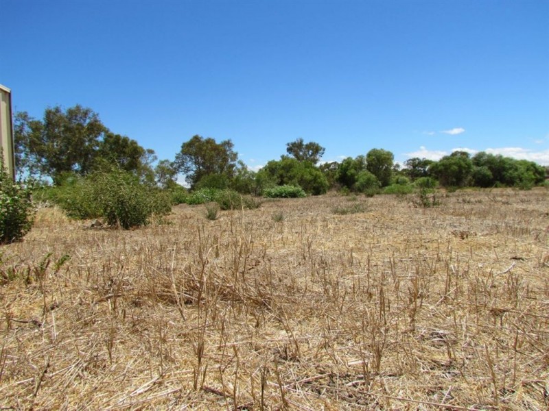 7 Pead Fairway, Waggrakine WA 6530