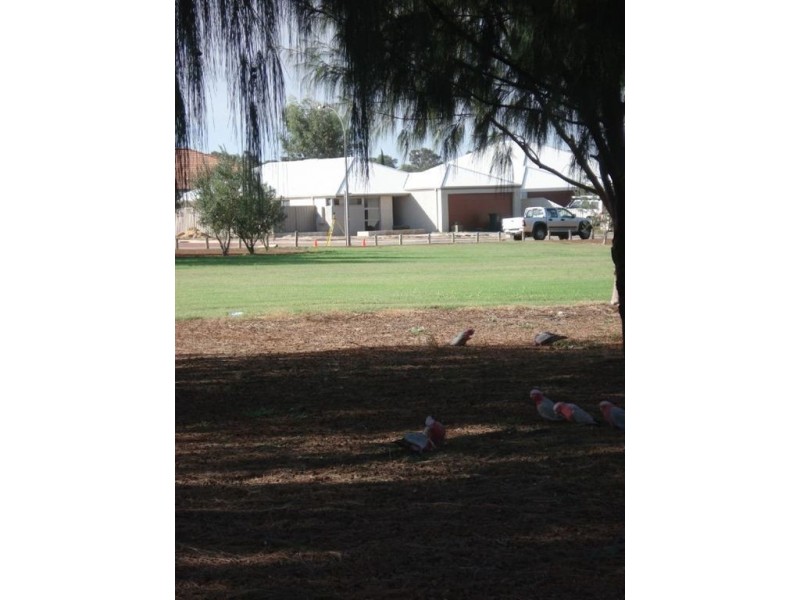 50 Stillwater Avenue, Drummond Cove WA 6532