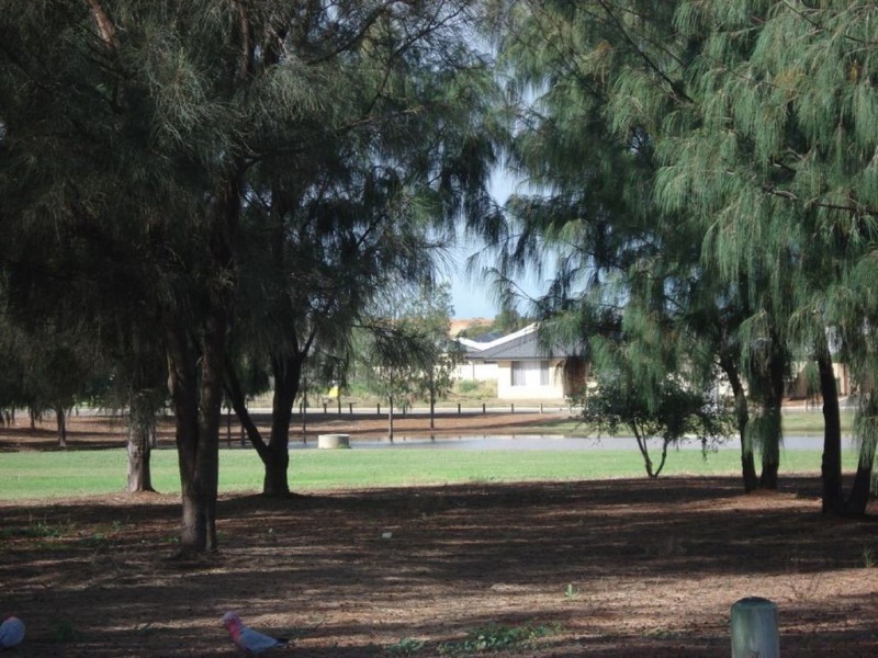 50 Stillwater Avenue, Drummond Cove WA 6532