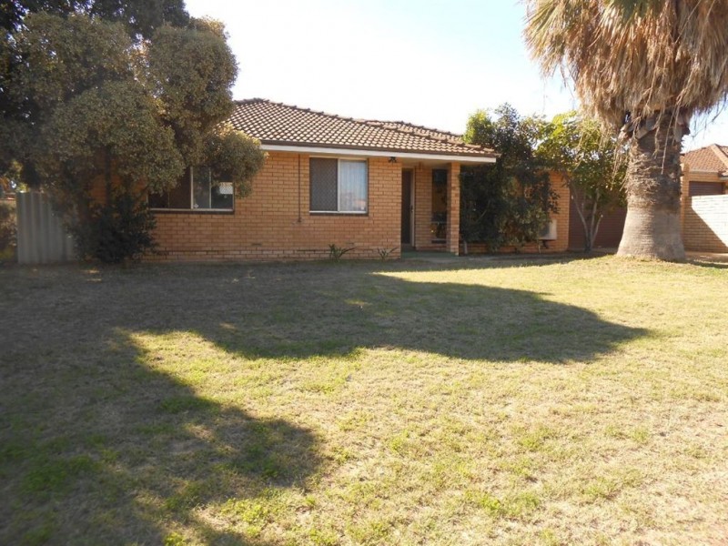 41B Newman Street, Spalding WA 6530