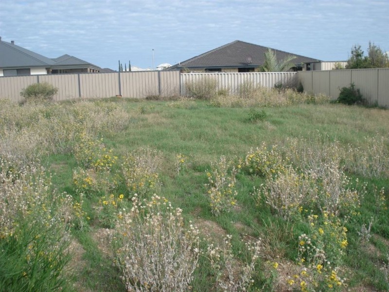 7 Ajax Street, Wandina WA 6530