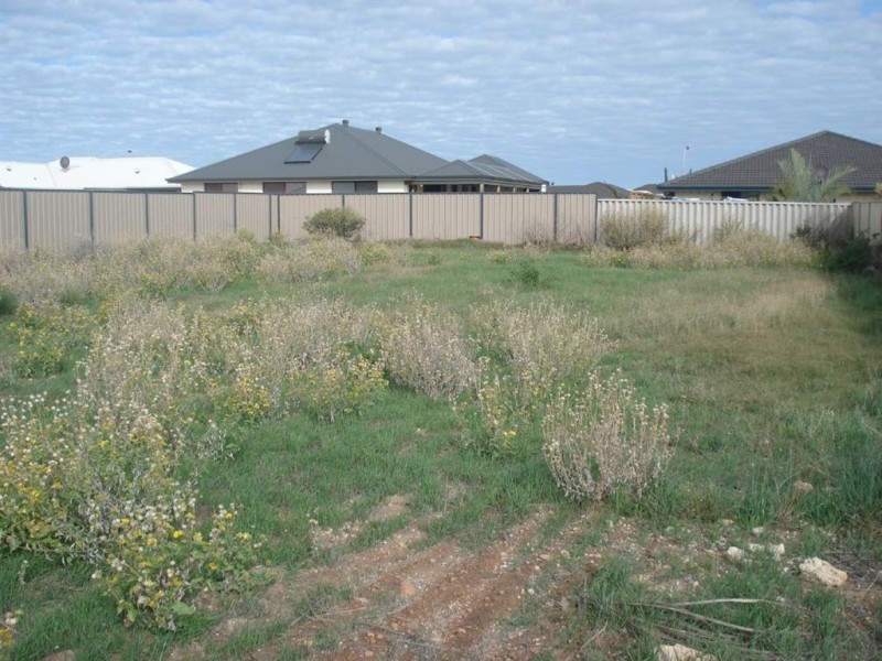 7 Ajax Street, Wandina WA 6530