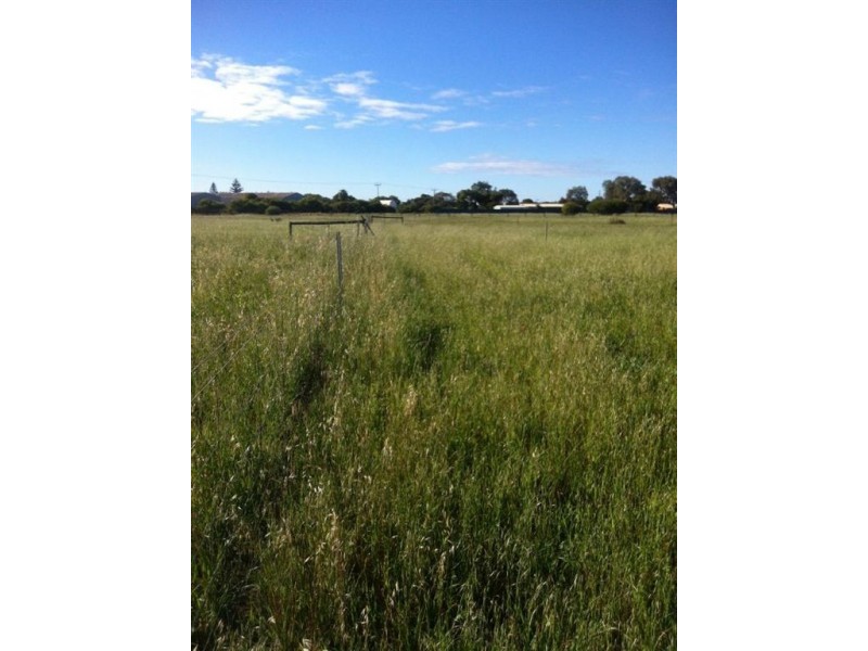 27 Lynch Way, Utakarra WA 6530