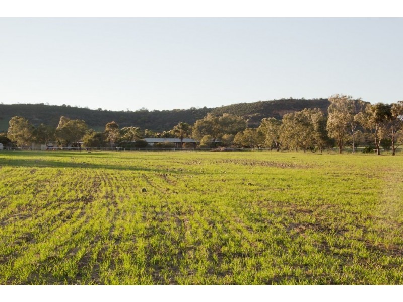 86 Arnold Street, Waggrakine WA 6530