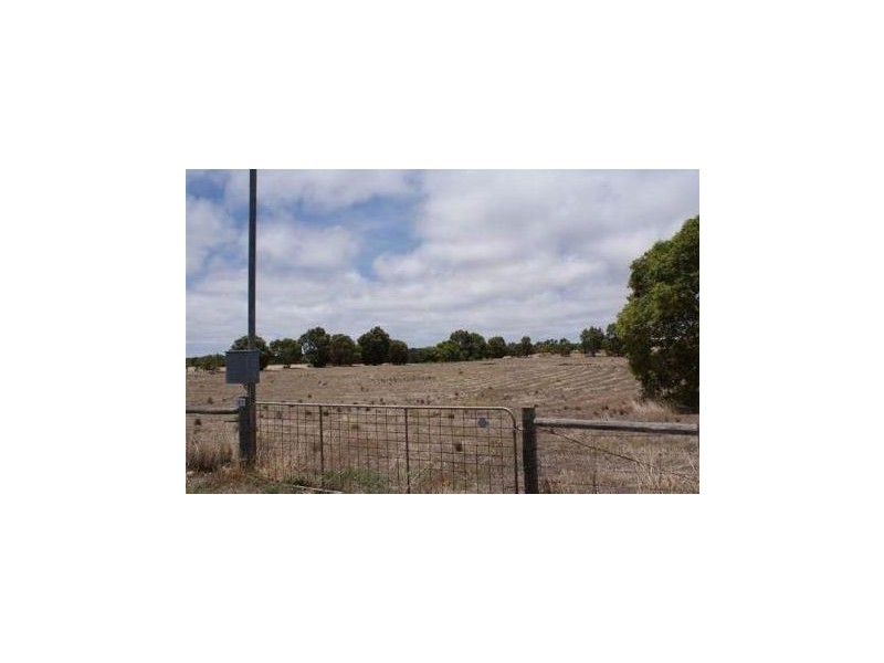 37 River Gum Way, Dongara WA 6525