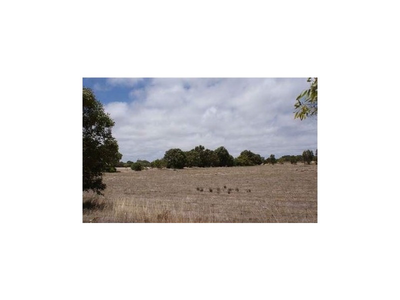 37 River Gum Way, Dongara WA 6525