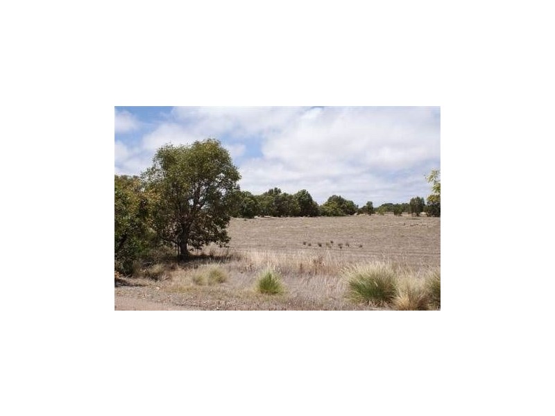 37 River Gum Way, Dongara WA 6525