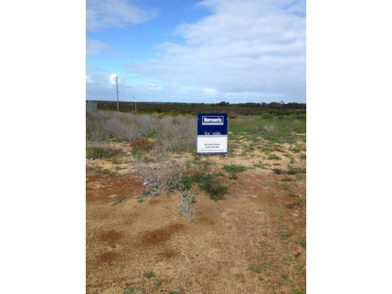 41 Weeloo Road, Waggrakine WA 6530