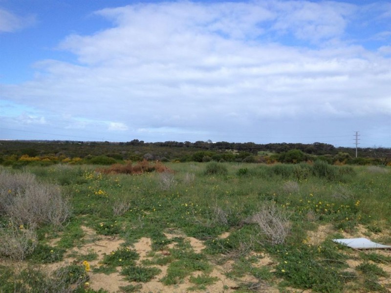 41 Weeloo Road, Waggrakine WA 6530