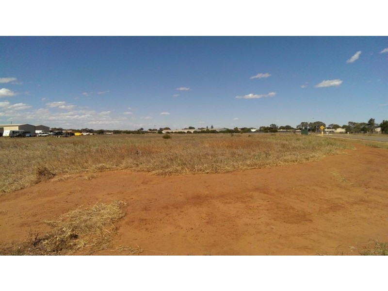 17 Lynch Way, Utakarra WA 6530