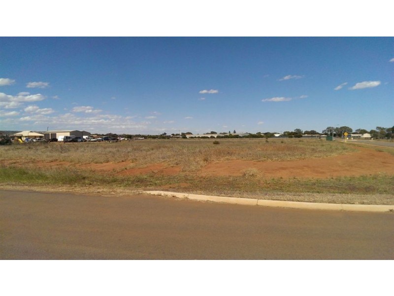 17 Lynch Way, Utakarra WA 6530