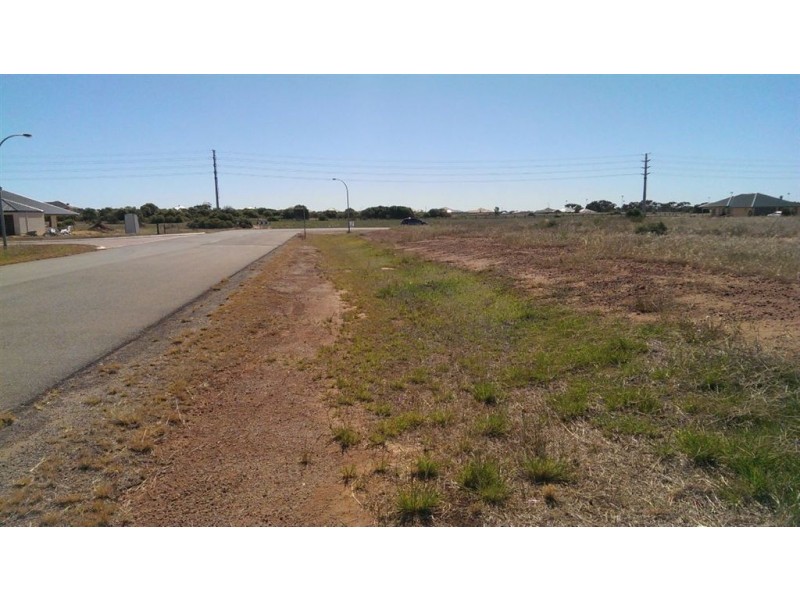 17 Lynch Way, Utakarra WA 6530