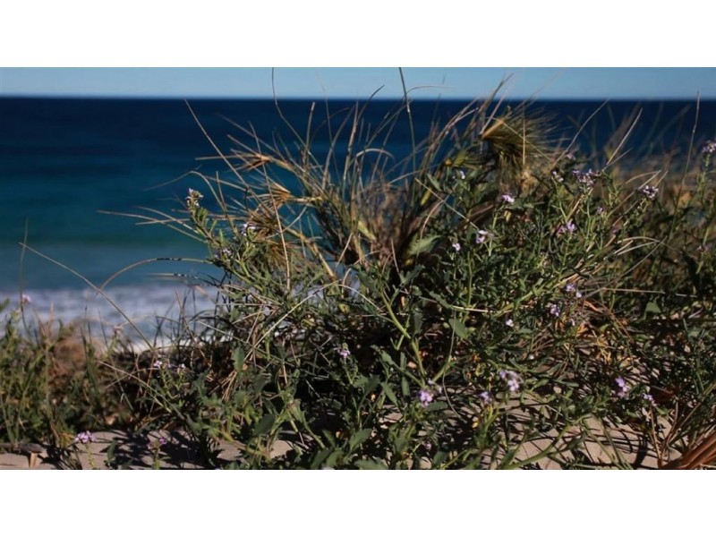 Lot 714 Swordfish Vista, Sunset Beach WA 6530