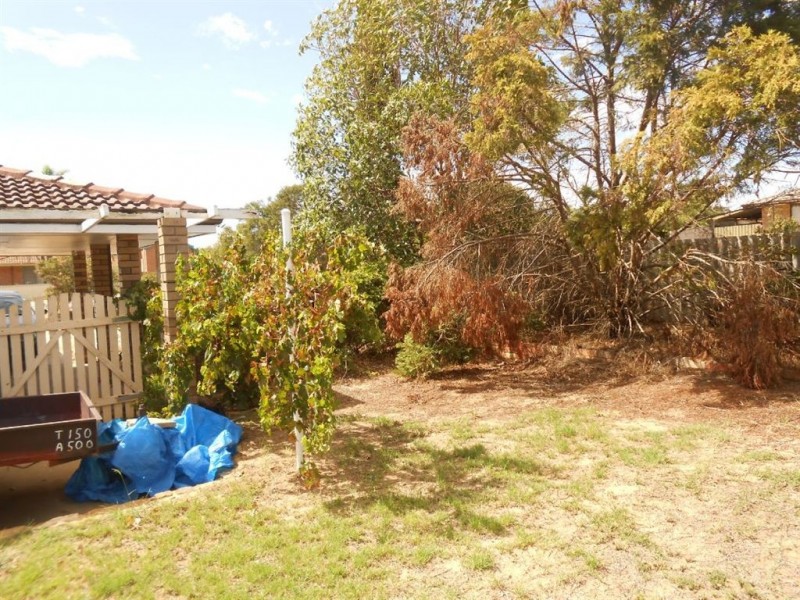 5 RUTH Street, Geraldton WA 6530