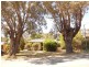 16 Elphick Avenue, Bluff Point WA 6530