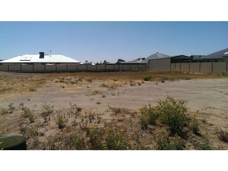 25 Stillwater Avenue, Drummond Cove WA 6532