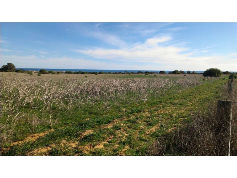 28 Cargeeg Bend, White Peak WA 6532